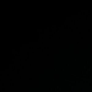 Meet your Posher, Mecedes